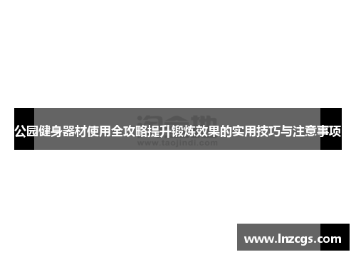 公园健身器材使用全攻略提升锻炼效果的实用技巧与注意事项