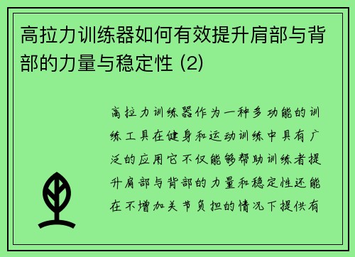 高拉力训练器如何有效提升肩部与背部的力量与稳定性 (2)